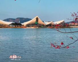 ����԰��԰ӣ������ ���㹲��һ����ɫ����