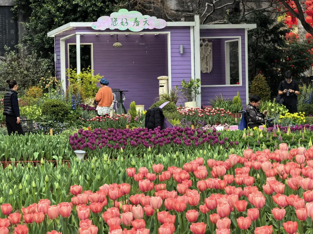 ������������ʱ ����ͻ���ͼ���պ�