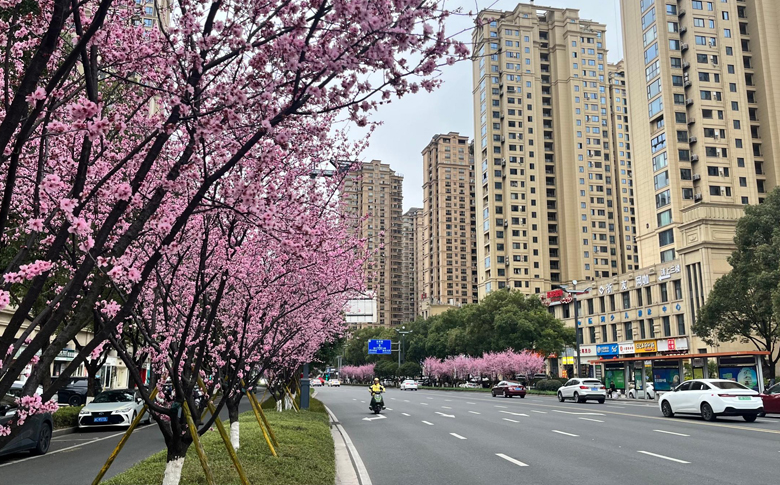 �߻�·���Ǵ���������� ������Щ���ص�·������������Χ��