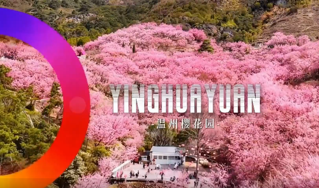 ����ɫ���е�������ʽ��ѧ