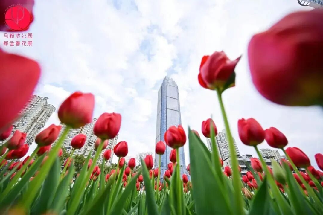 �������ӣ������ع�԰������������ͻ����á�