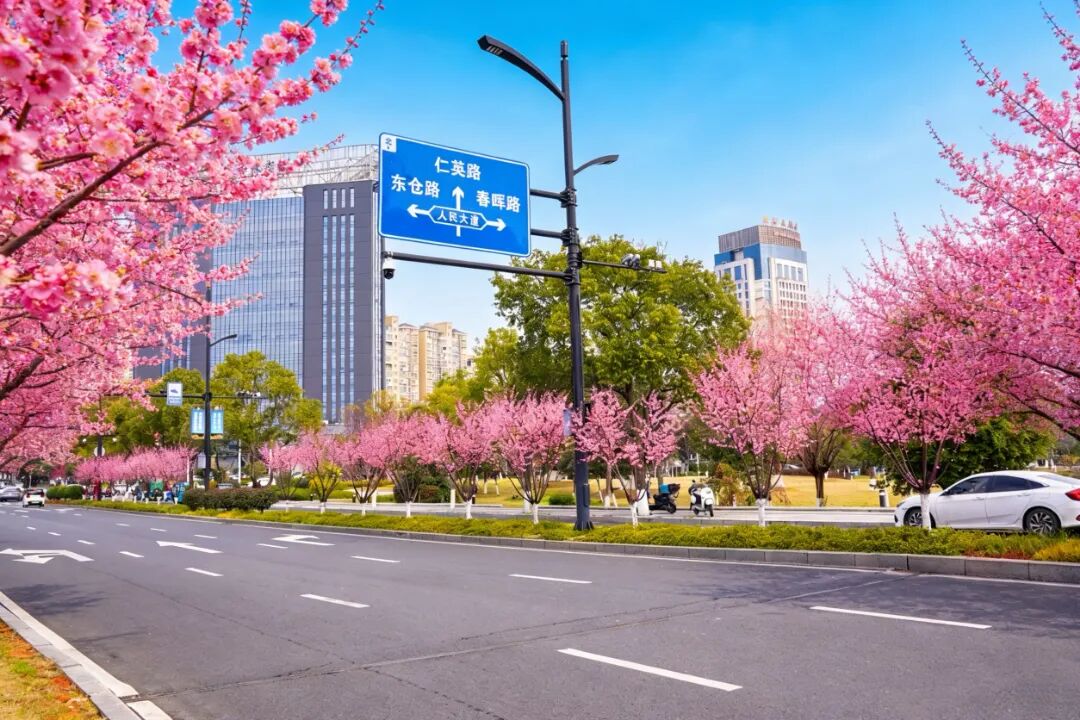 ���ݴ��շ��������� ���������봺ɫײ����