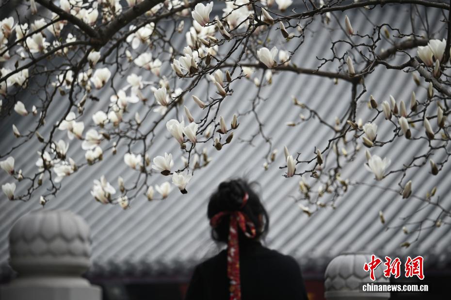 �Ͼ�������ӭ���� ������Ȼ��