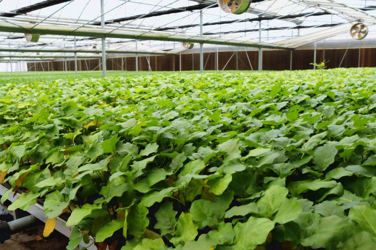 ¹�ǡ��������ֹ�������������������