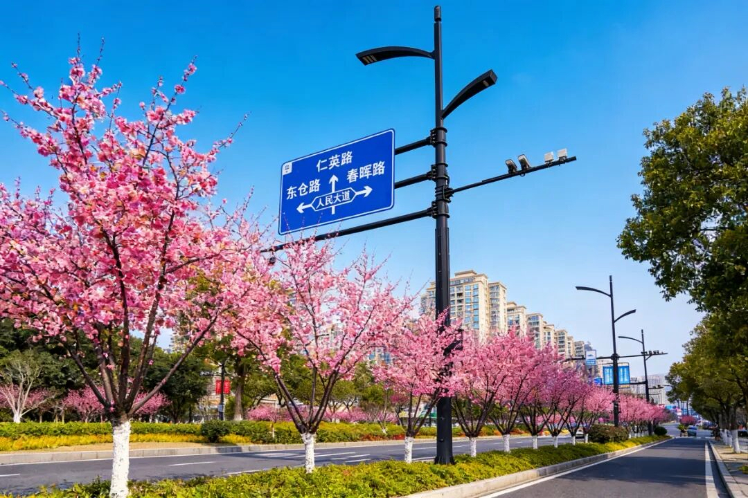 ���ݴ��շ�������������