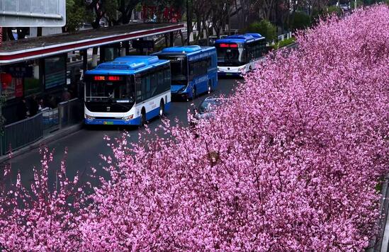 ����÷ʢ����һ·�����ƽ�