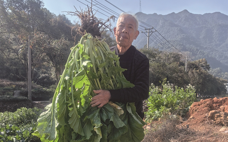 һ���ߵĽ�ˣ��������