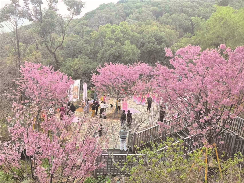 �ӡ���ɽ�ڿӡ�������̨������ �����˰ѡ��̡���ؼ�