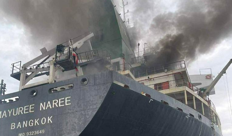 һ��̩�������ڻ���ľ�Ⱥ�Ͽ��Ϯ���