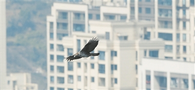 ������û���ˣ��׸����������ˣ�