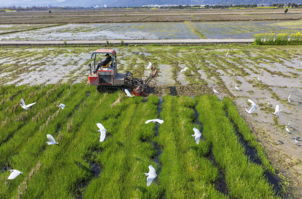 ��ץũʱ ��������