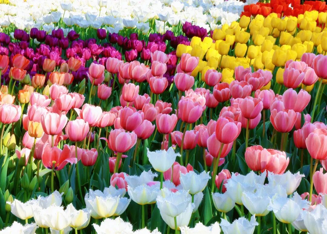 27����������ӭ���ͻ��ȳ��������ݳ�����ȼ���վ���