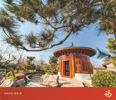 ԰��԰ӭ������԰���ֲ��Ρ�