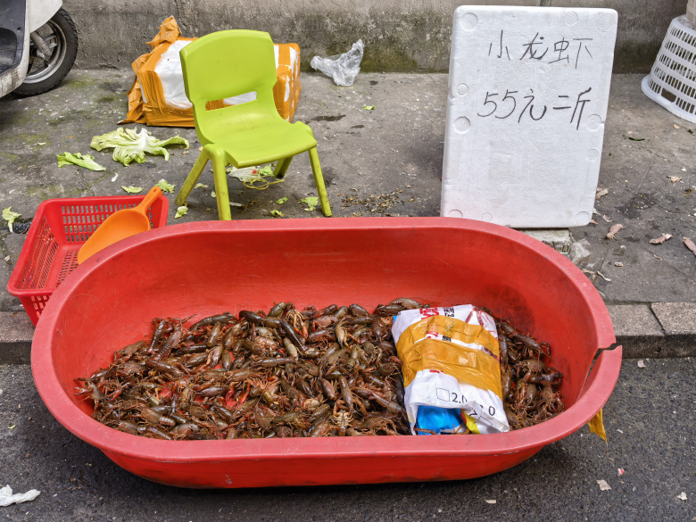 ��ҹ����������Ȼ���У����ݵ�һ��С��Ϻ������