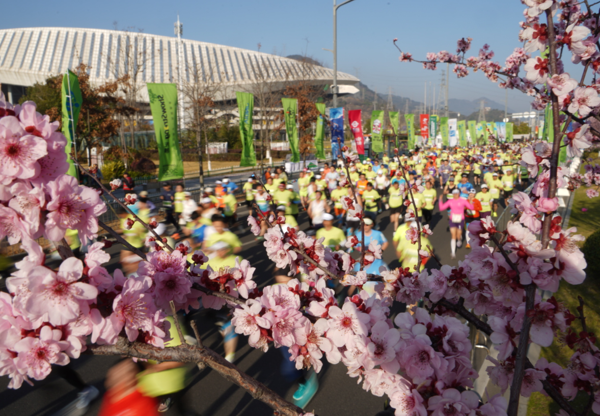 龙湾半马鸣枪开跑