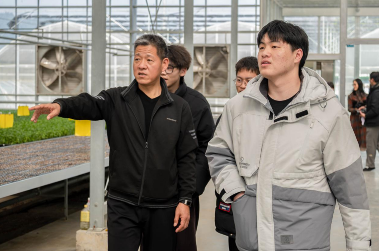 �¿�Ժ�����ߺ����ѡ��߽����ִ�����˼�������ӡ����ǡ��롰��ҵ��