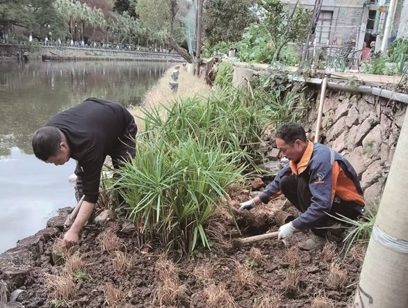 鹿城区中山公园中山河水体治理与景观提升工程预计下月完工
