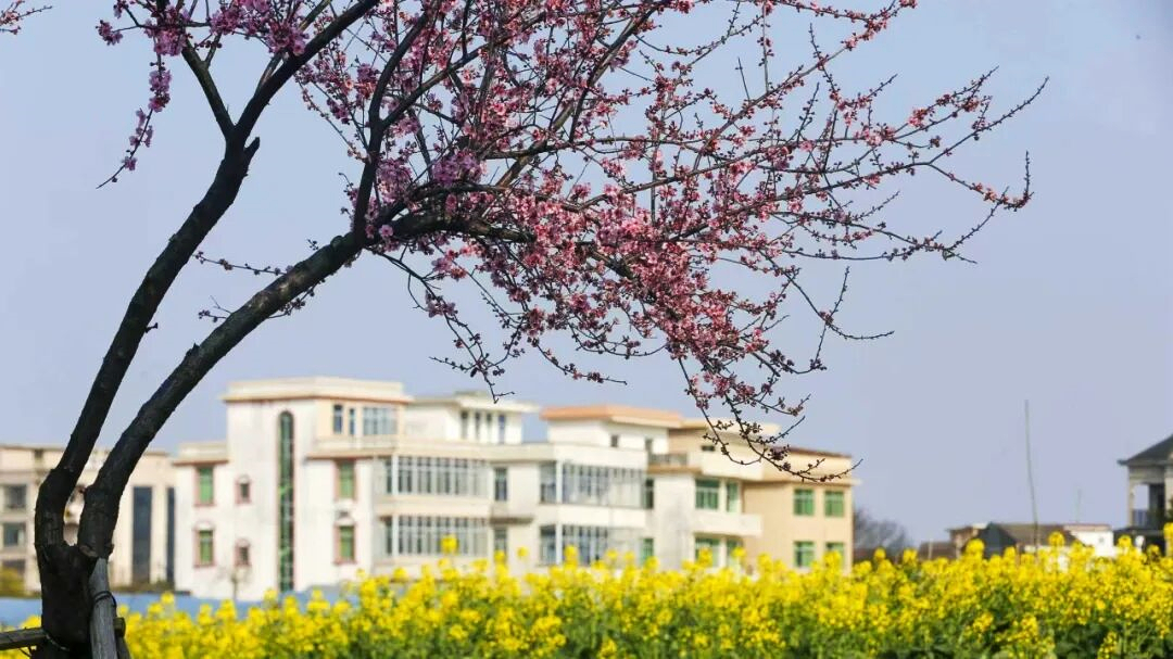 �����������޶�������÷���Ͳ˻�������