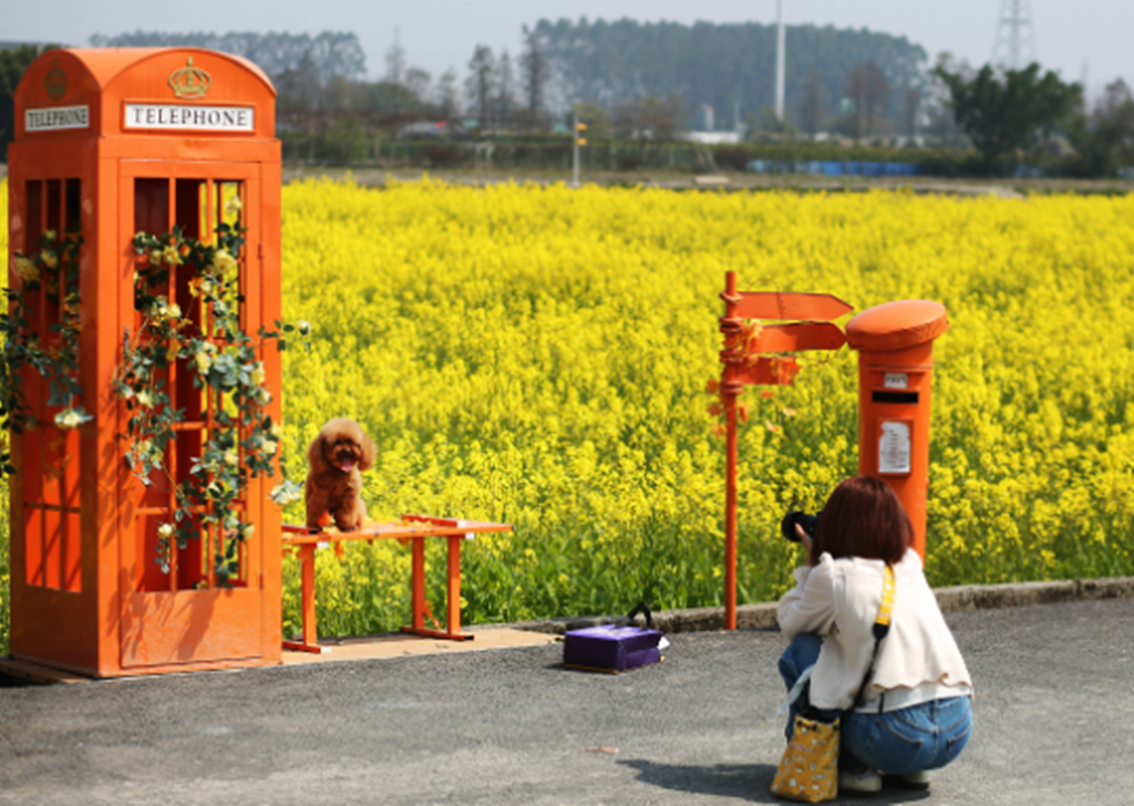 �򿨴�������λ���԰