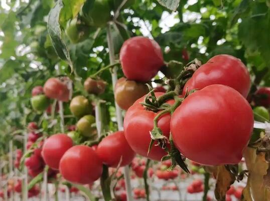 һ�ŷ��ѵġ���ʮ���䡱 ���Ϸ���ȫ����չ��ֵ����