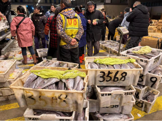 温州海鲜市场“冰火两重天”,虾姑鮸鱼成“性价比之王”