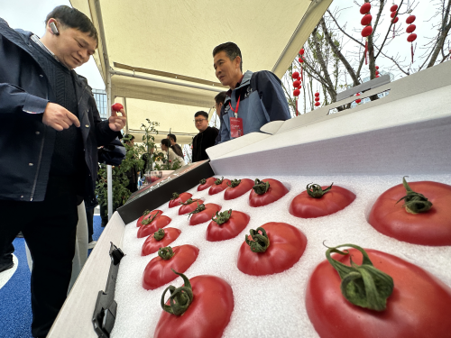 һ�ŷ��ѵġ���ʮ���䡱 ���ݲ��Ϸ���ȫ����չ��ֵ����