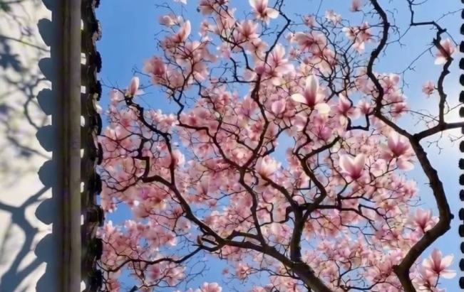 ����걺������;��� ��������