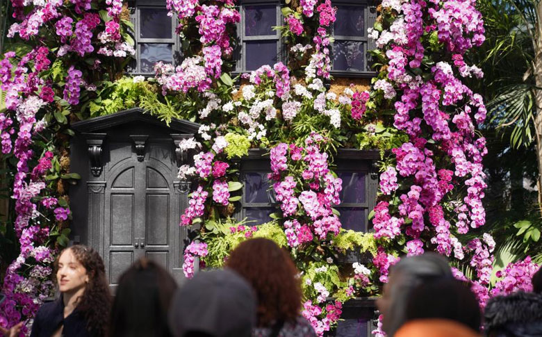 ŦԼֲ��԰������ʢ��ӭ����