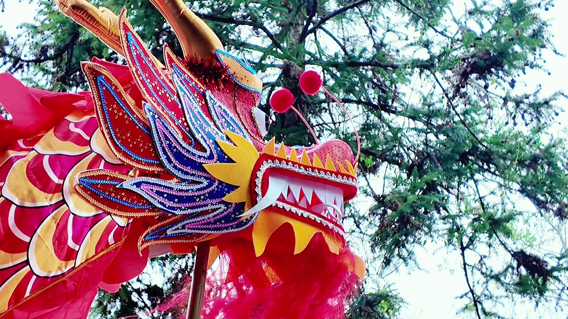 分福糍 品福宴 来温州泰顺体验不一样的民俗文化