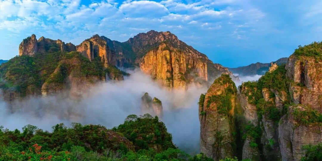 ���ٽ�����������Щ��������Сѧ����ѿ���