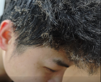 �⡰�����ͷ����ֵ�ˣ� ����������ս�ͷ��