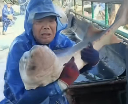 43��Ұ���л��ࡰ�������� ���� ���������Ⲷ���Ź��