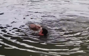 �̶̼��룬һ����������������һ����ͥ��ϣ��