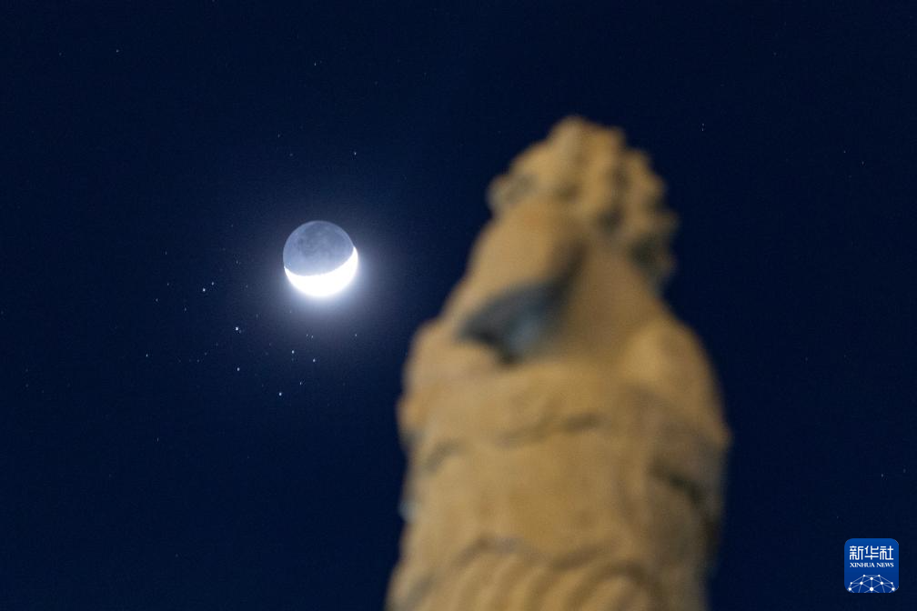 ��ü�¡�ǣ�֡�������