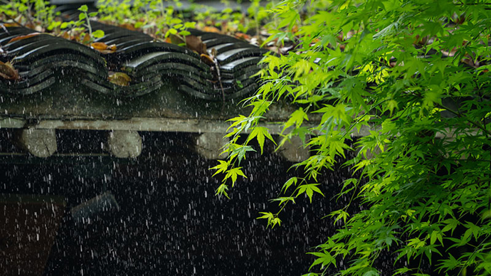 �����������������´���һ���ס� Ϊ���е�������ը�����еġ����ơ���