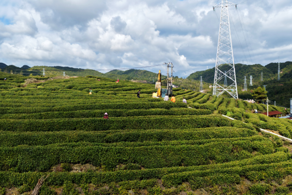 ̩˳��Ķ��԰Ʈ�㣬��ũ��ժæ