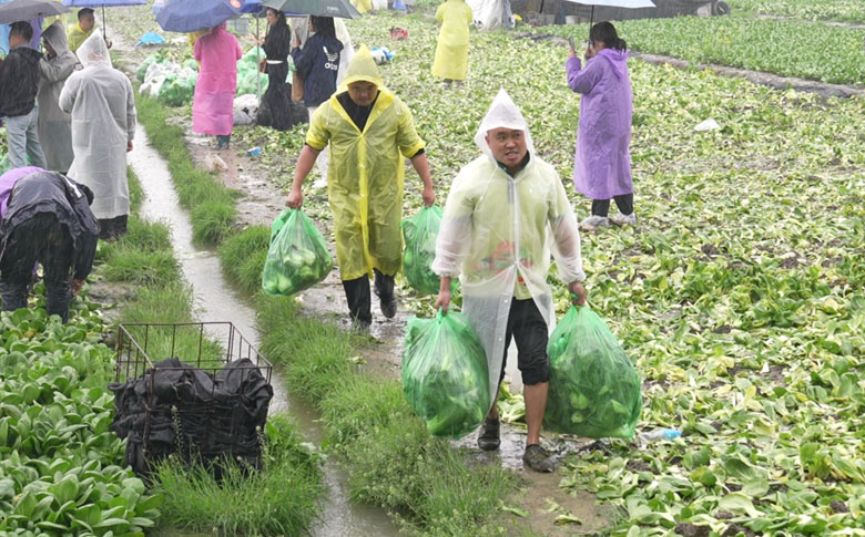 �������ů�� �𰲰���־Ը��ð��Ϊ�����ϱ����ա������ˡ�