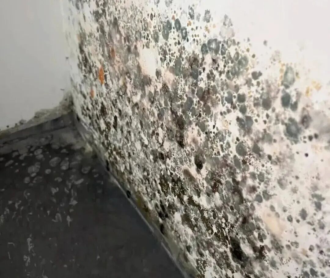 健康真相NO.652丨千万不要拿袜子做这件事,后果可能非常严重!