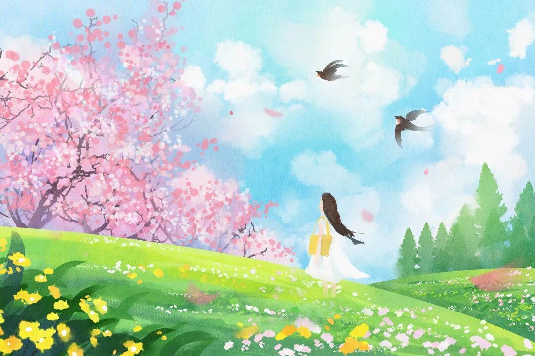 今日天况转好,周末温州的天气......