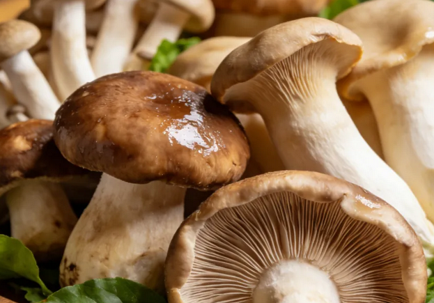 健康真相NO.653丨为什么你总发胖还记忆力不好?原来是缺了这种维生素!