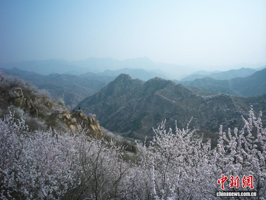 ������ɽ������