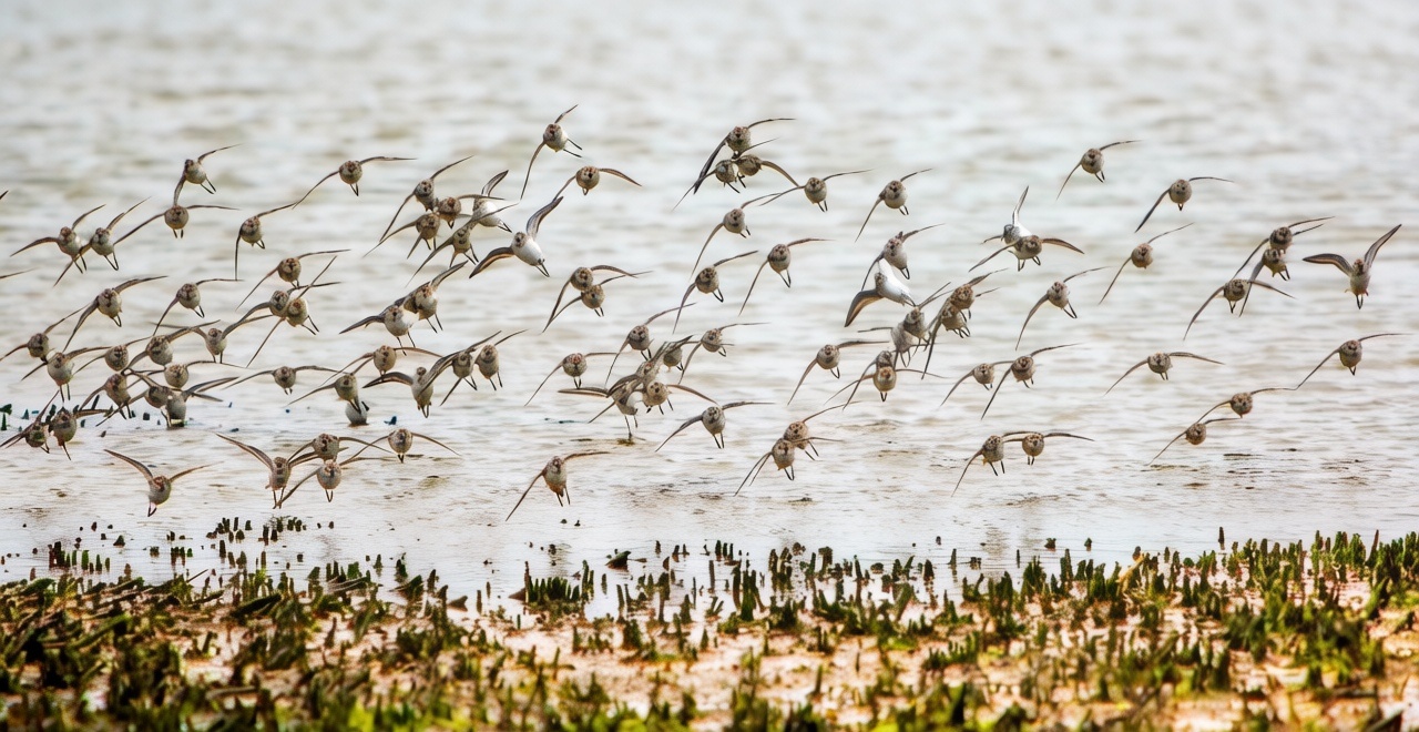 �����������������輯