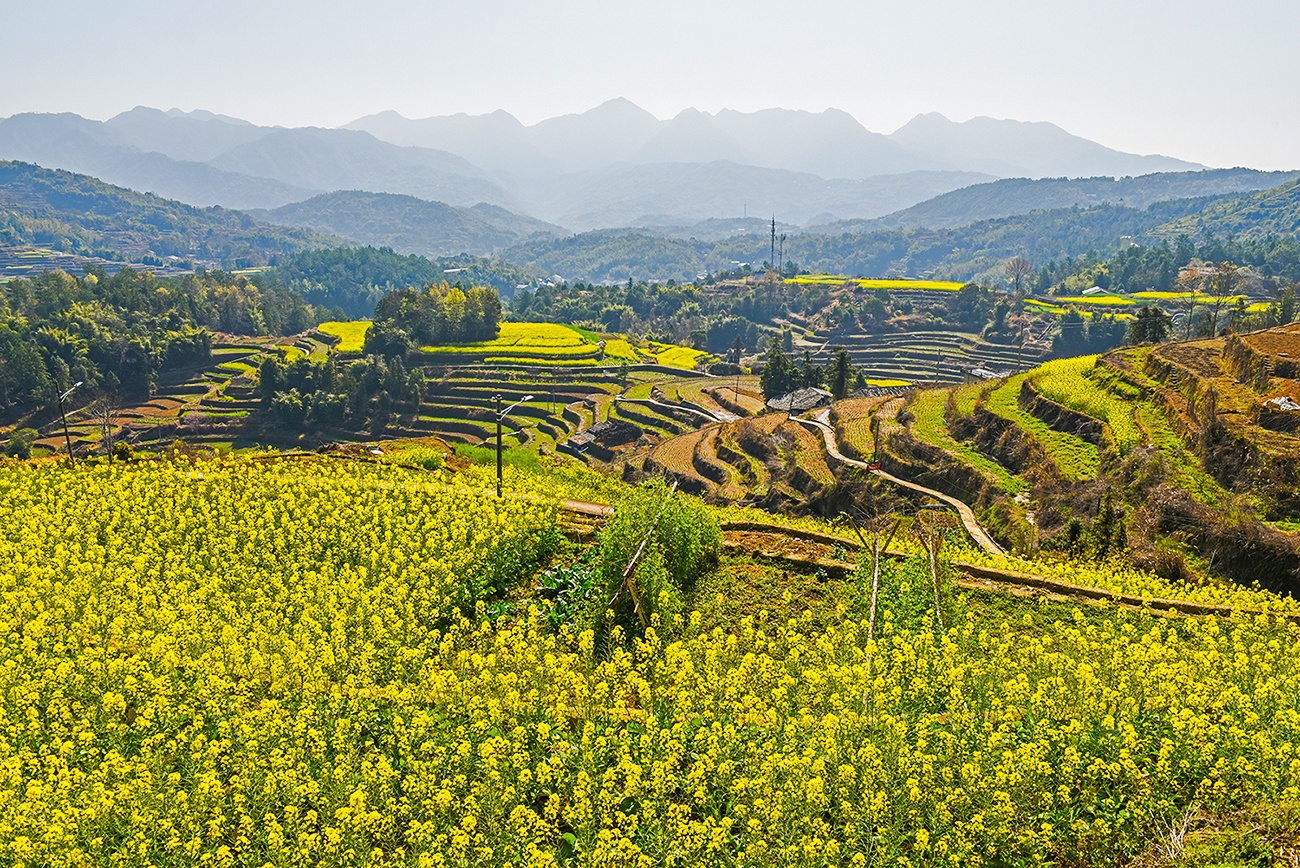 �����𰲣��Ͳ˻�������Ũ