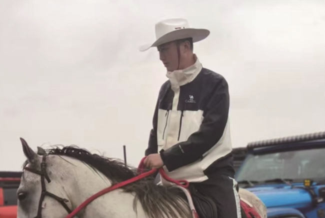 马年流行养马?业内人士:养马还需考虑合规问题