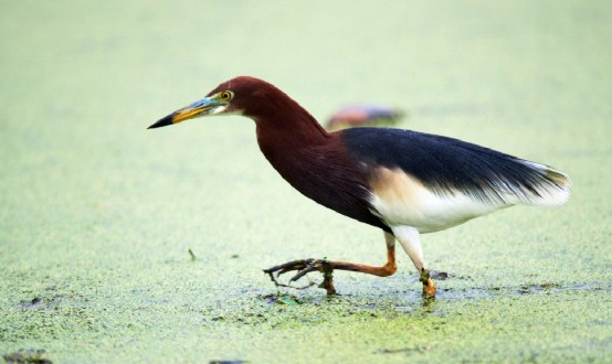 ���B������������ȥ��������R���B