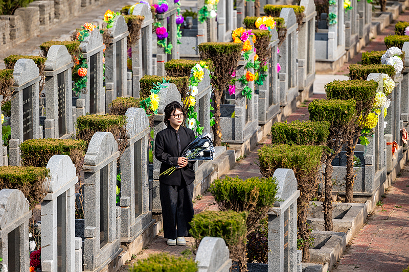 ����������ɭ�ַ���Ҫ���ӣ�������Щ���������ĵļ�ɨ��ʽ