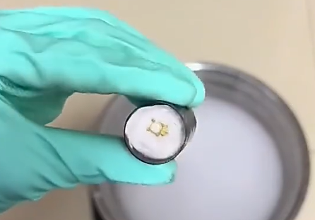 �������ˣ���������� ���Ų������ӼҴ�𡱿�����