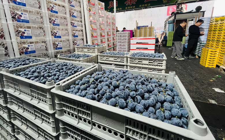 �������� ���ݡ������ӡ�������