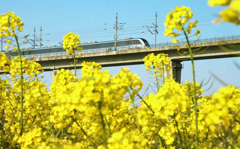 �˹����ͨ ��һ·����