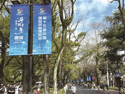 ������·ӭ԰��